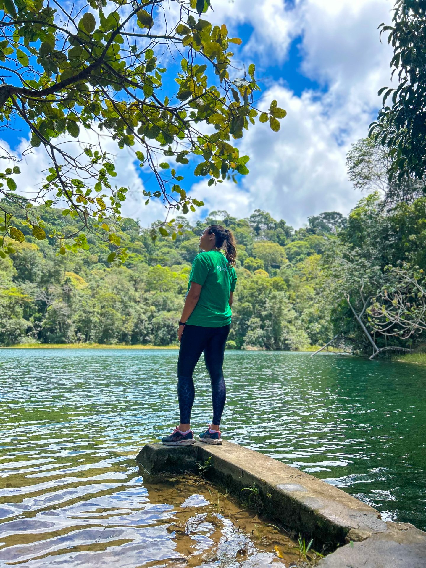 Trilha Ecológica na APA de Fernão Velho – Natureza, história e biodiversidade