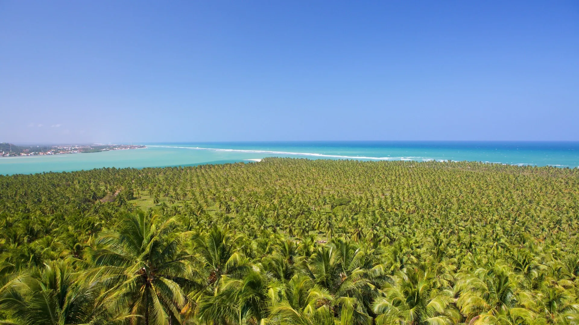 Gunga, Barra de São Miguel e Francês – Litoral sul de Alagoas
