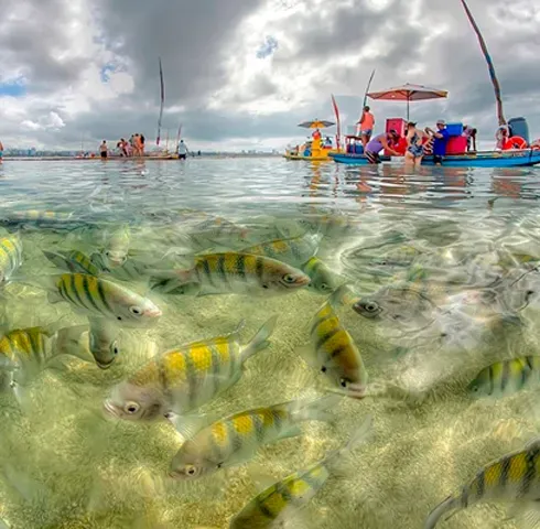 Foto 4 de Piscinas Naturais (Maceió/ Praia De Ponta Verde)