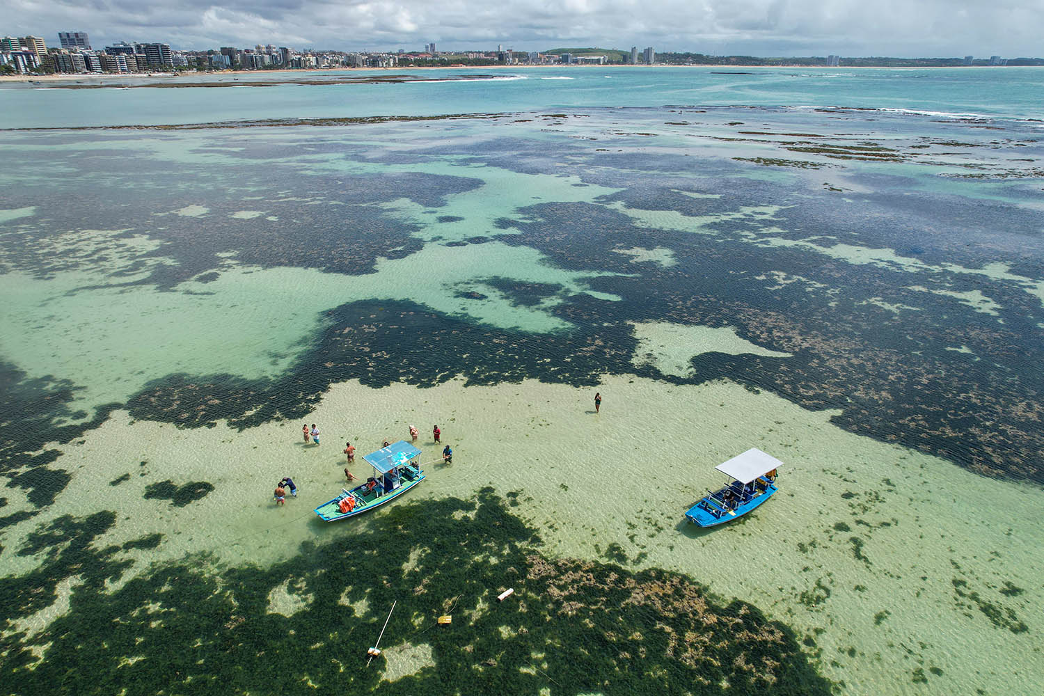 Foto 3 de Piscinas Naturais (Maceió/ Praia De Ponta Verde)