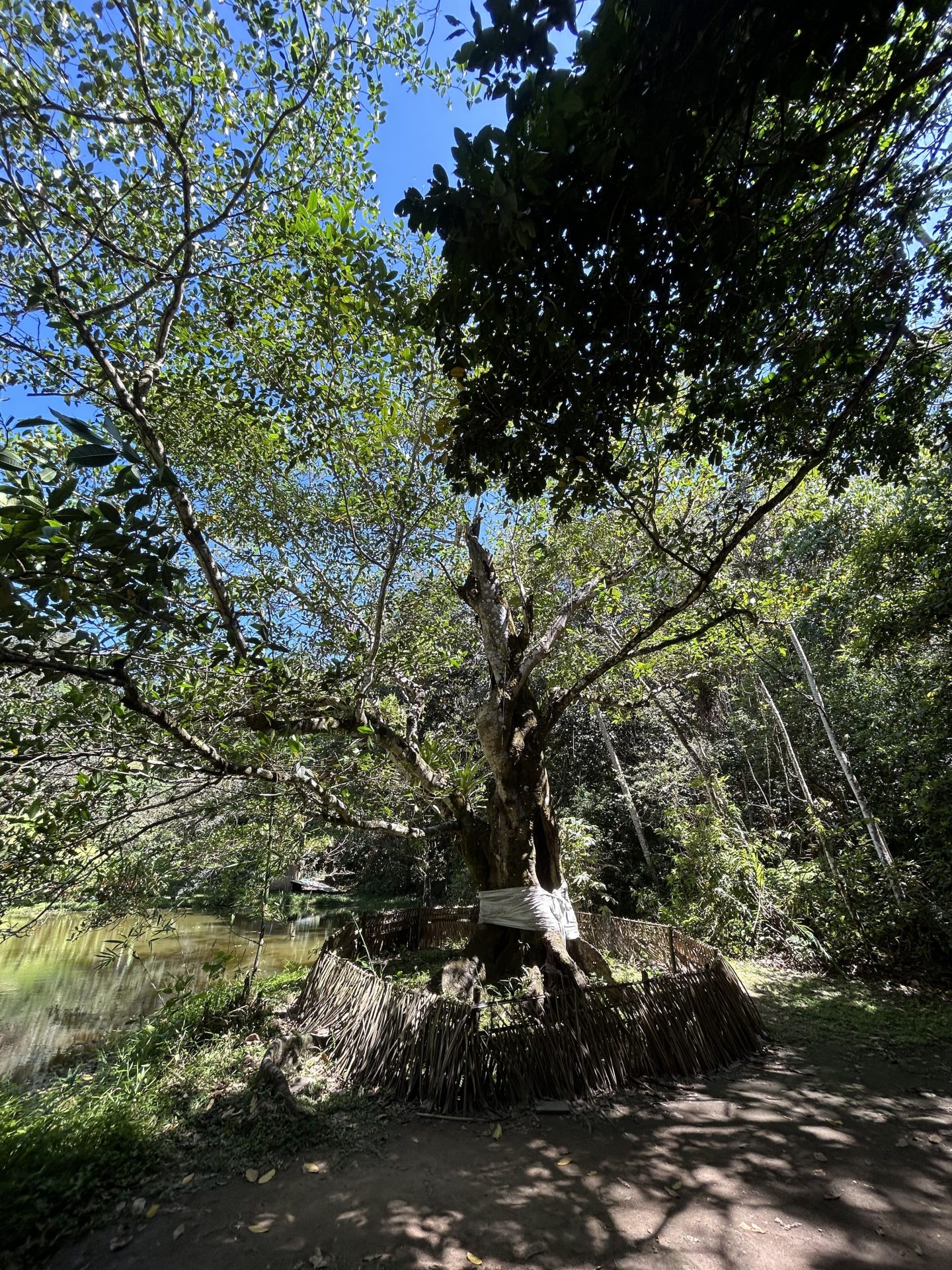 Foto 6 de Memorial Quilombo dos Palmares – Raízes da liberdade em União dos Palmares