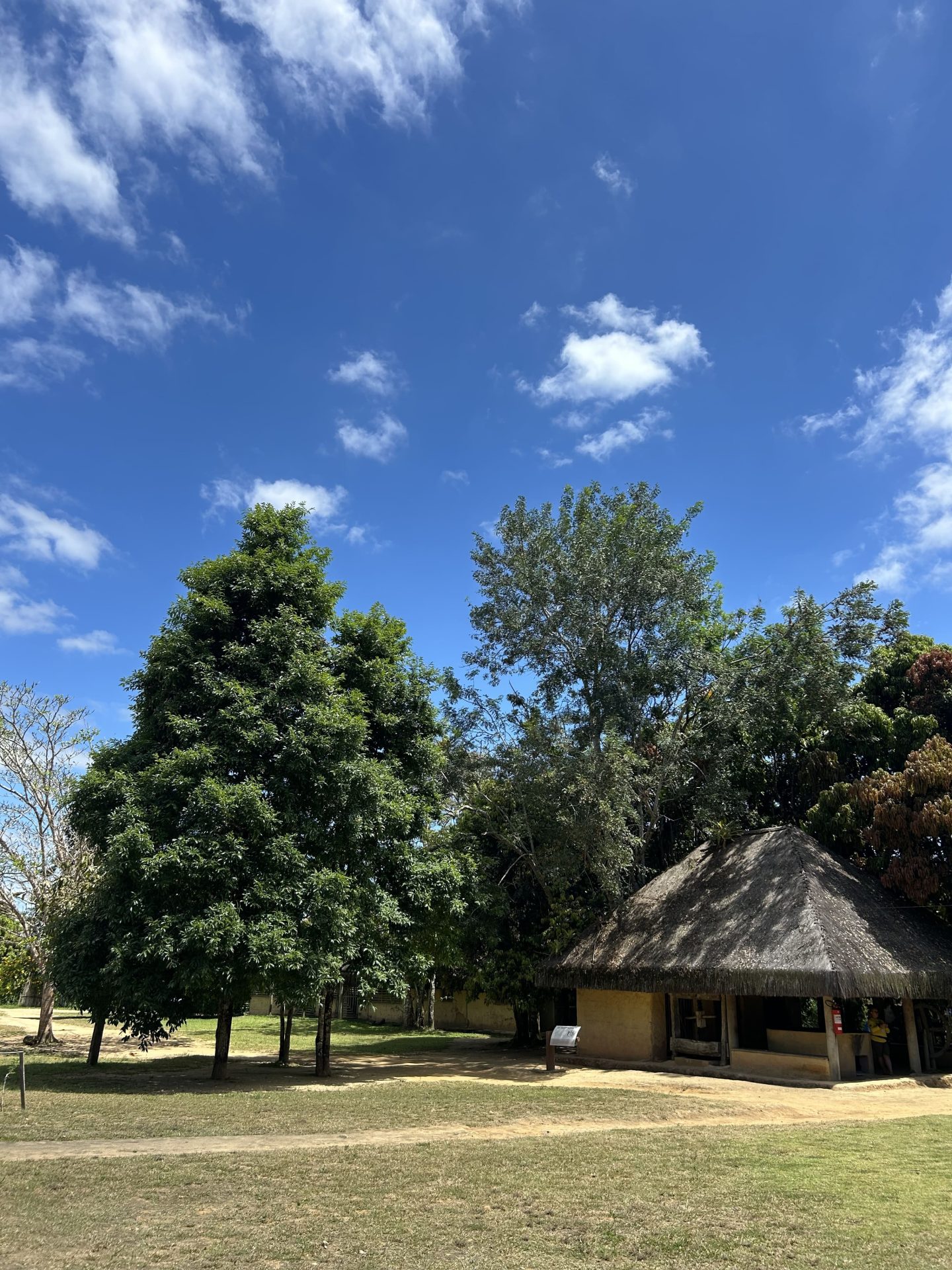 Foto 5 de Memorial Quilombo dos Palmares – Raízes da liberdade em União dos Palmares