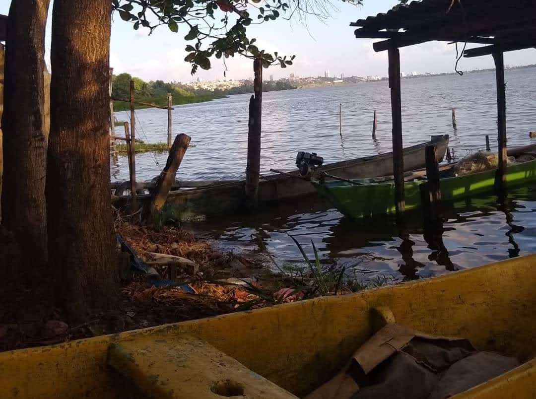 Foto 7 del Complesso dell'estuario Lagunar - Esperienza attraverso le lagune di Alagoas