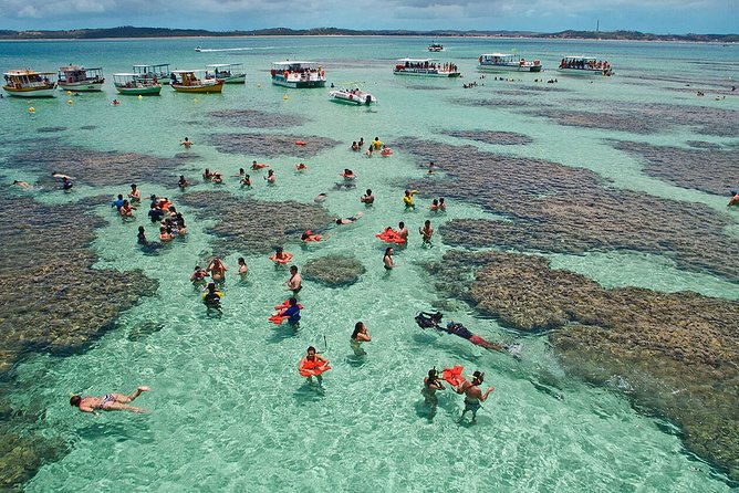Patacho e Maragogi – Experiência pelo Litoral Norte de Alagoas
